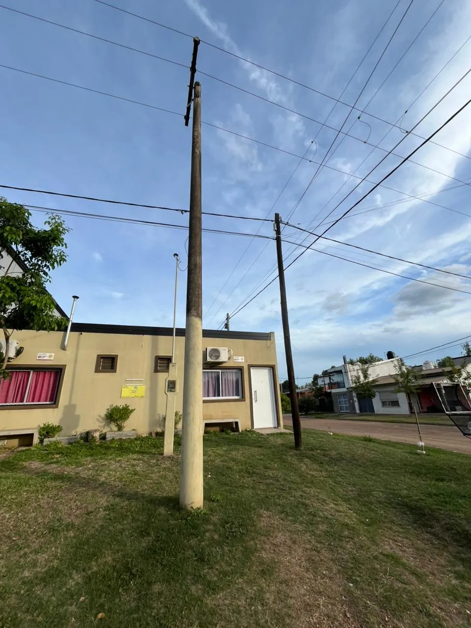 cepeda 290, colon - 3