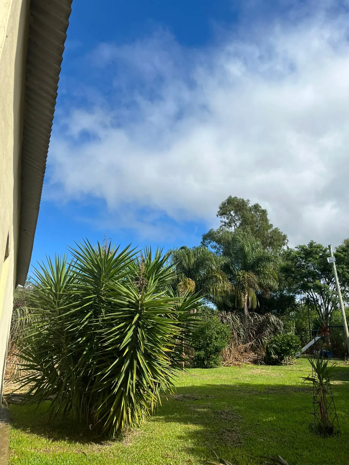 crispin y calle publica, barrio "el portal" ruta 135, colon - 3